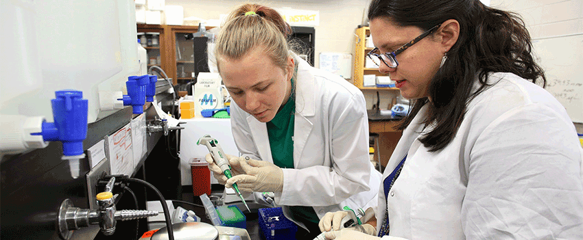 Two students working together in the biology lab.