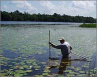 Sampling aquatic plant communities