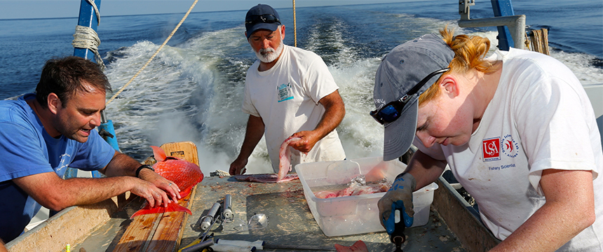 Faculty working on boat with marine sciences