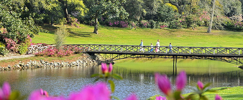 Bellingrath Gardens