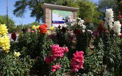 Map on campus with flowers in front of it.