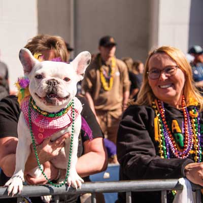 Pug with beads